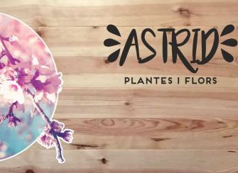 Flors i plantes Astrid