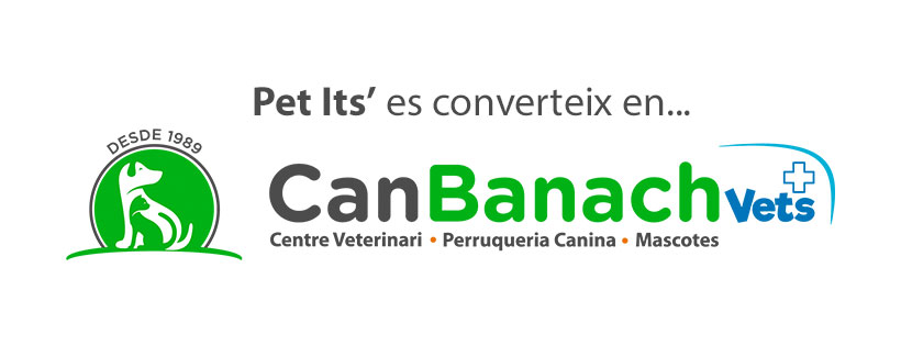 Logo empresa